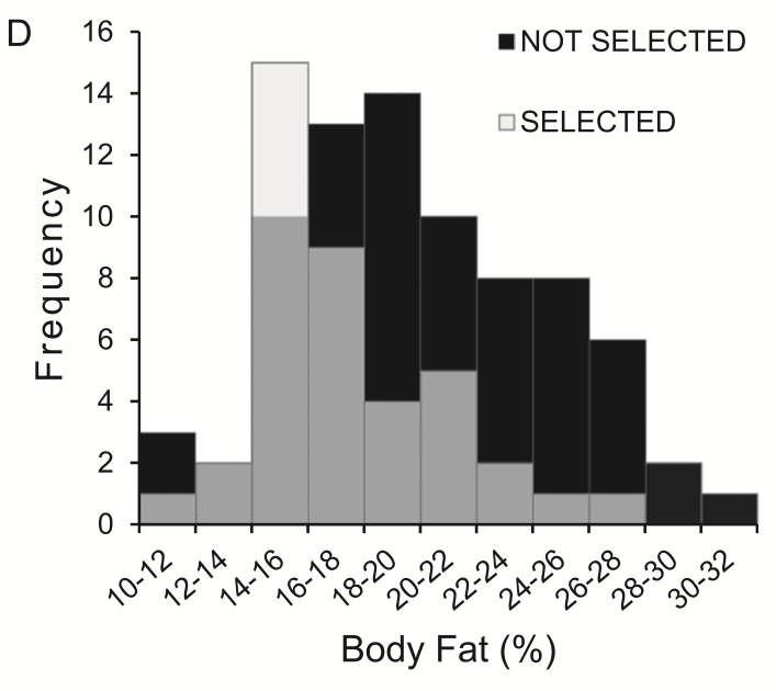 Body Fat Percentage at SFAS