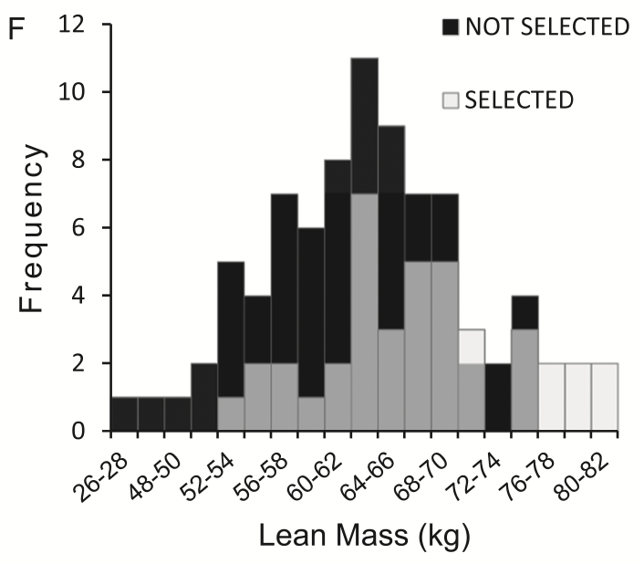 Lean Mass at SFAS